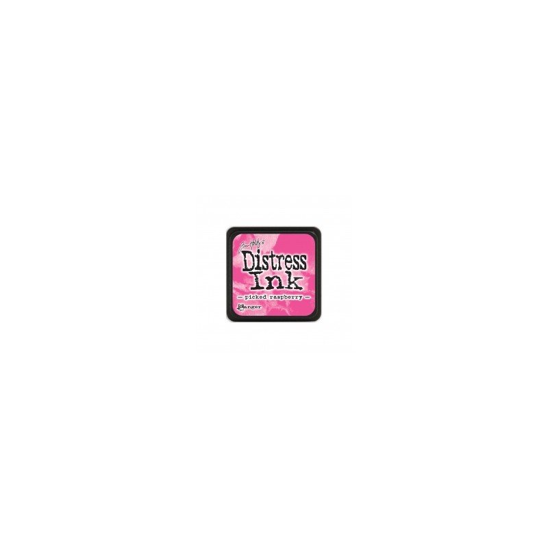 349-thickbox_default-picked-raspberry-mini.jpg
