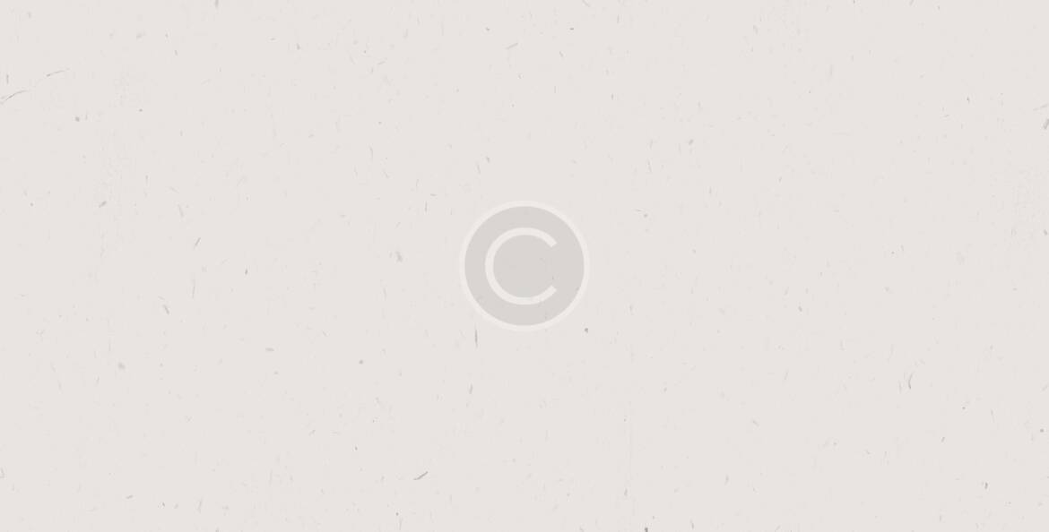 bg_main_boxed_version-1.jpg