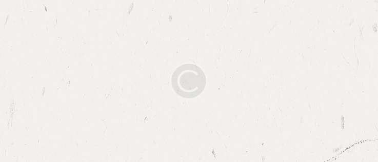 rectangle-8-copy-5.jpg