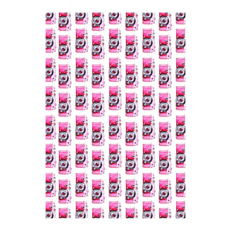 7413-thickbox_default-PINK-VELLUM-CARDS.-ELENA-ROCHE.jpg