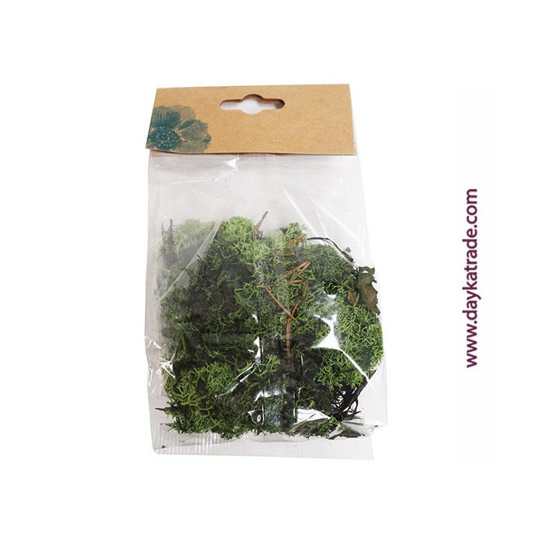 7468-thickbox_default-MUSGO-VERDE-ARTIFICIAL.-DAYKA.jpg