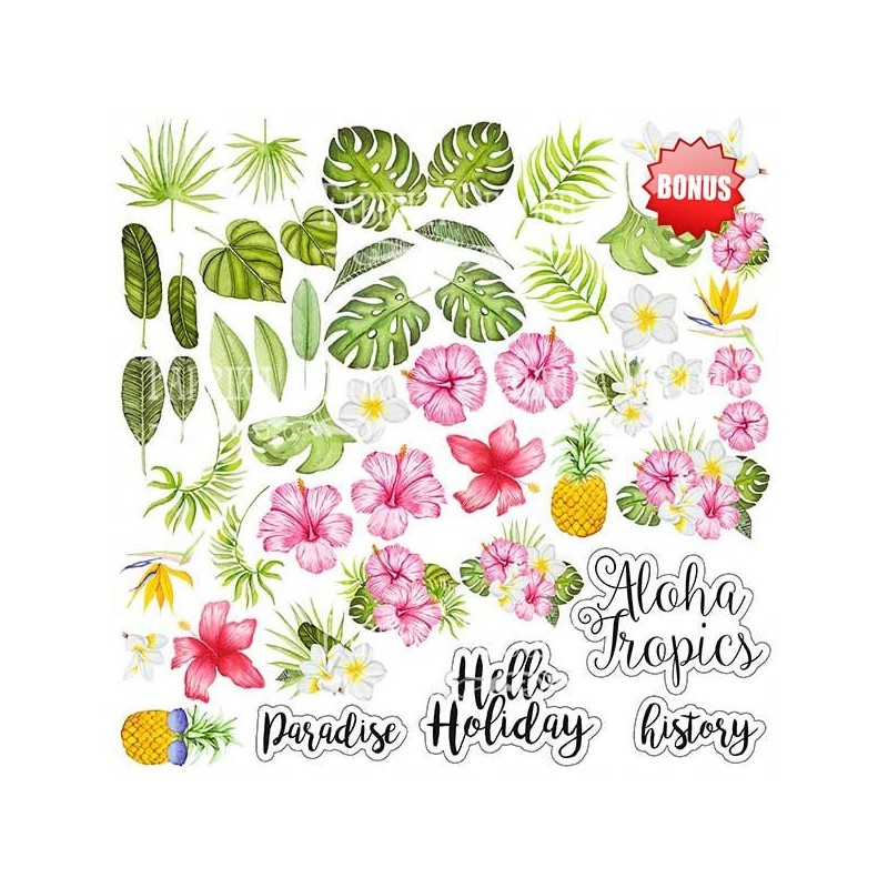 7695-thickbox_default-COLECCION-PAPELES-30X30-TROPICAL-PARADISE.-FABRIKA-DECORU.jpg