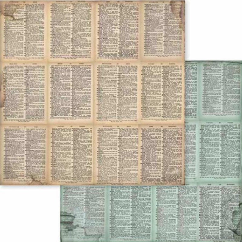 7970-thickbox_default-COLECCION-DE-PAPELES-30X30-VOYAGES-FANTASTIQUES-22-PAPELES.-STAMPERIA.jpg
