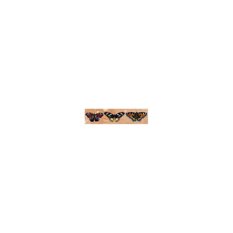 8733-thickbox_default-WASHI-TAPE-TRAVELER-BUTTERFLY.-ALBERTO-JUAREZ.jpg